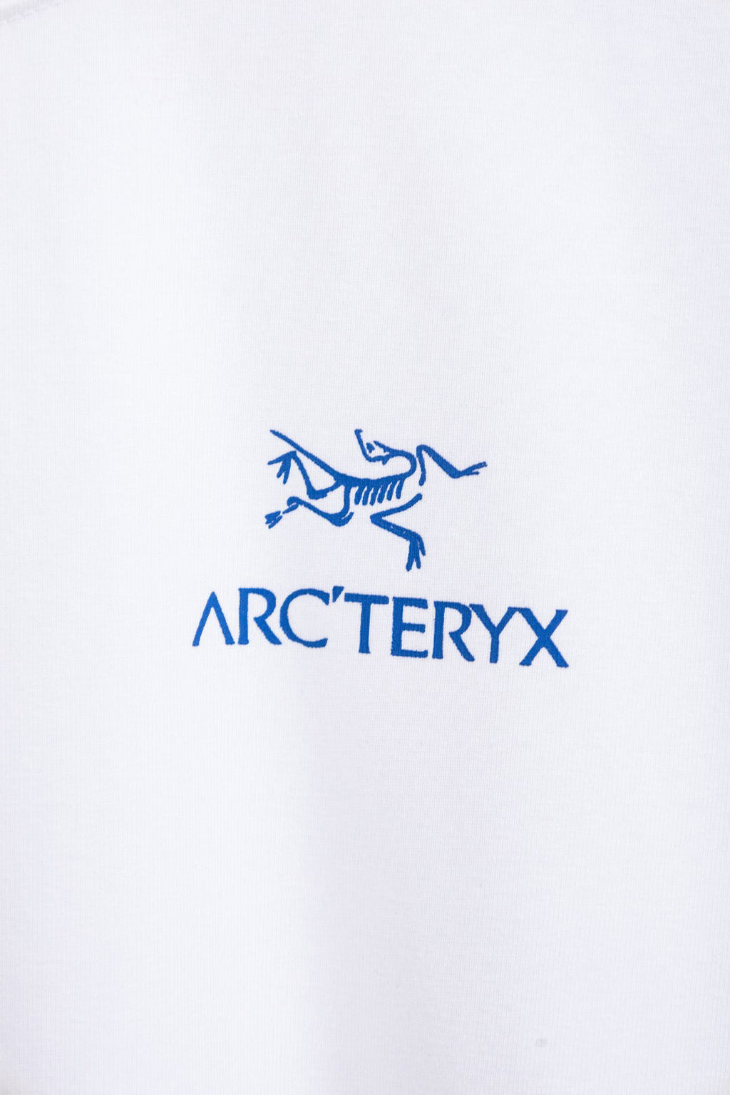 Arc'teryx Mammoth Graphic Crew Neck Short‑Sleeve T‑Shirt, Unisex Relaxed Fit Tee