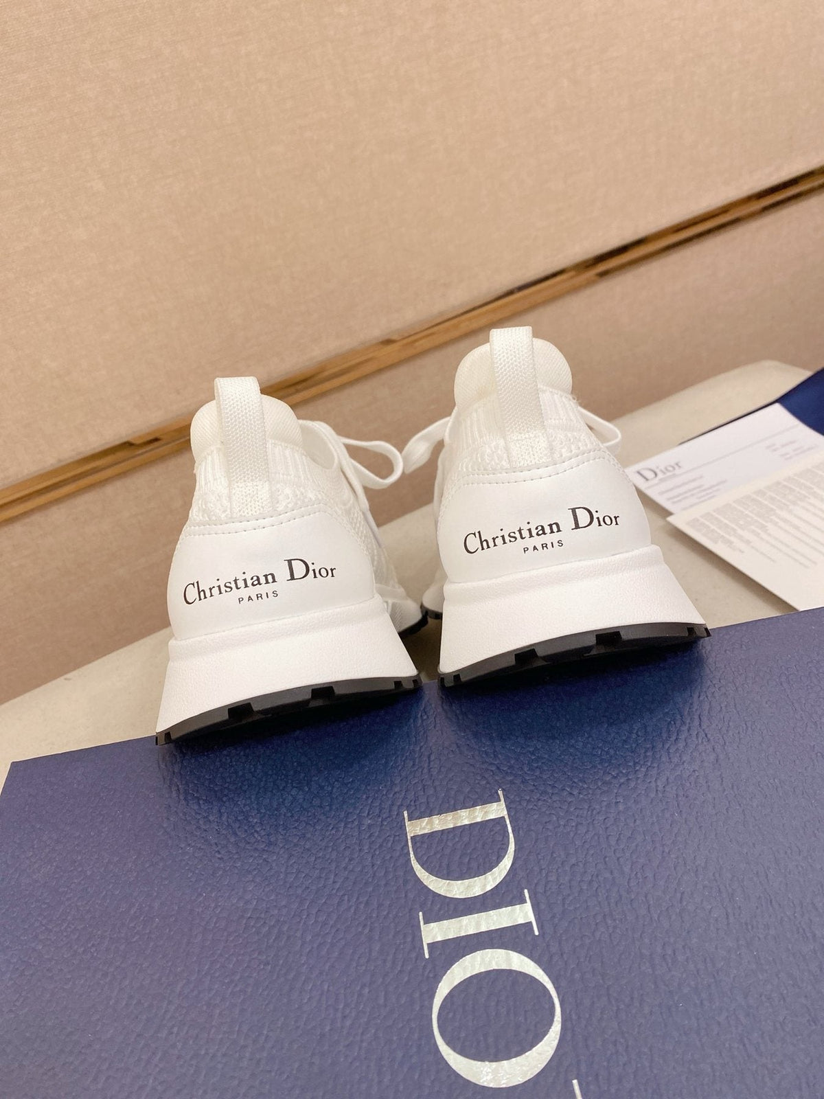 Dior B30 Mesh Sneakers